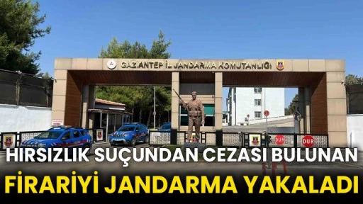 Hırsızlık suçundan cezası bulunan firariyi jandarma yakaladı