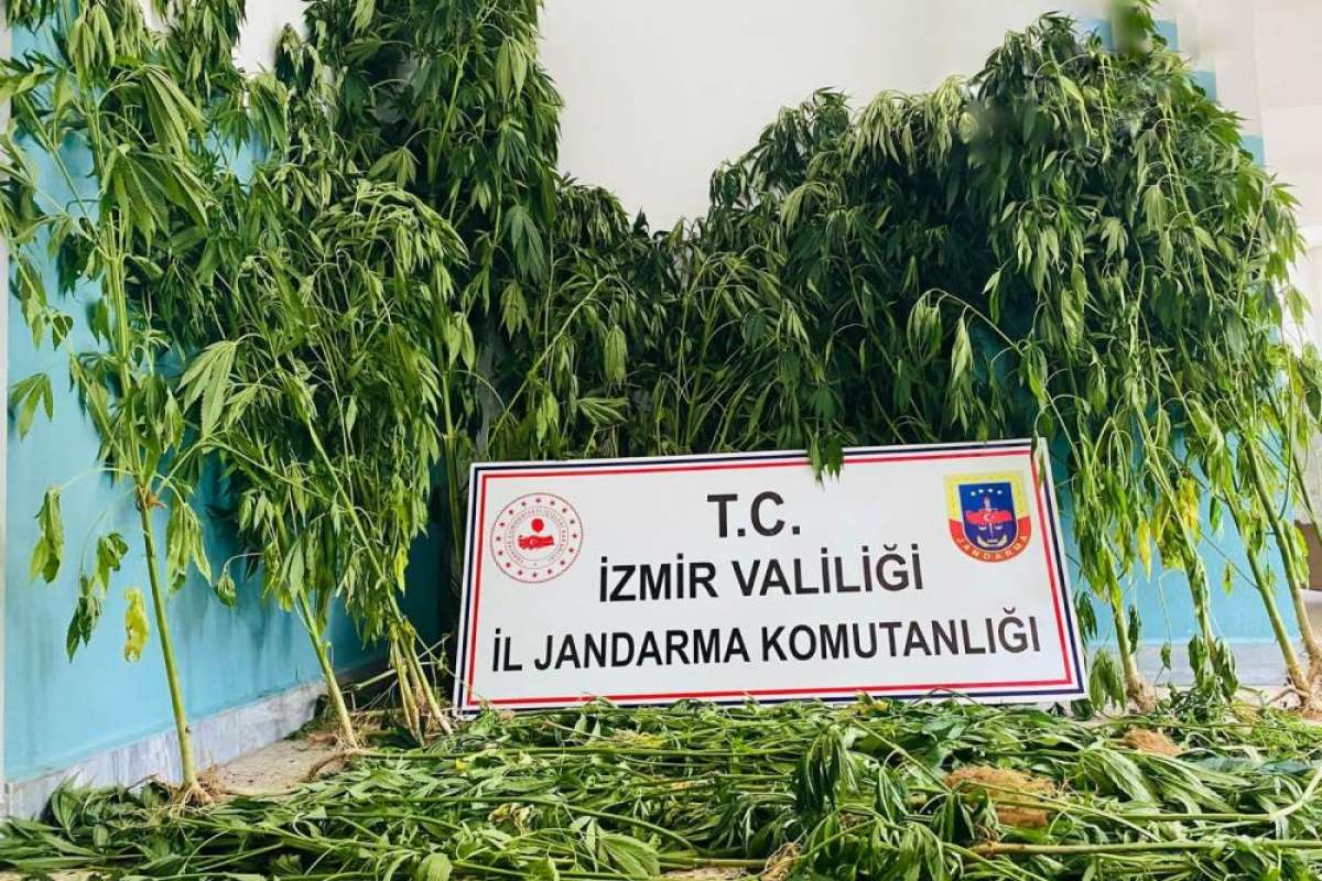 İzmir'de jandarmadan uyuşturucu baskınları: 12 gözaltı