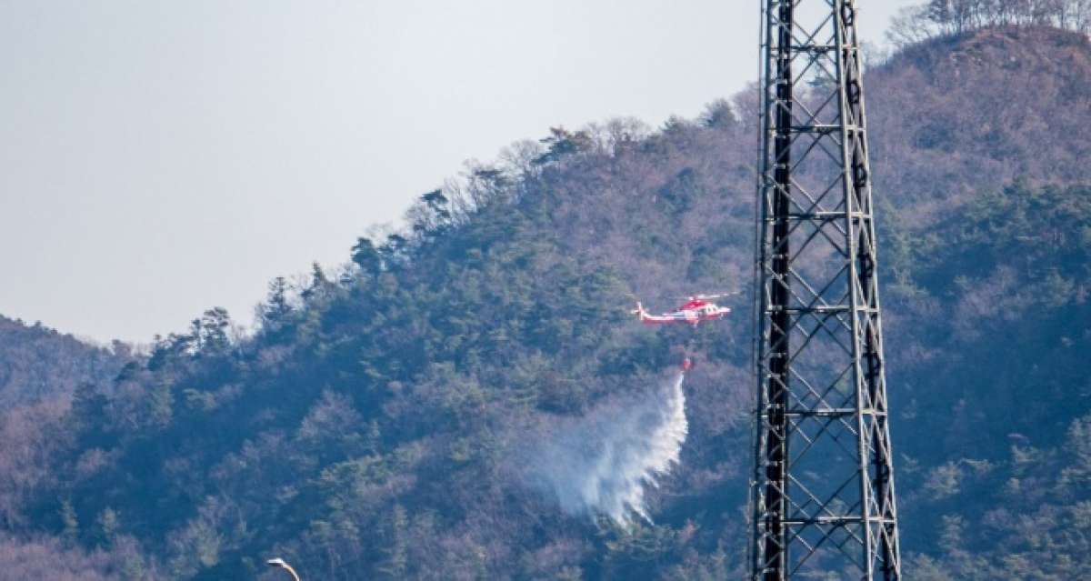 Japonya'daki orman yangını kontrol altına alındı