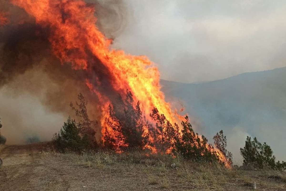 Karabük yangını rüzgarın etkisiyle ilerliyor