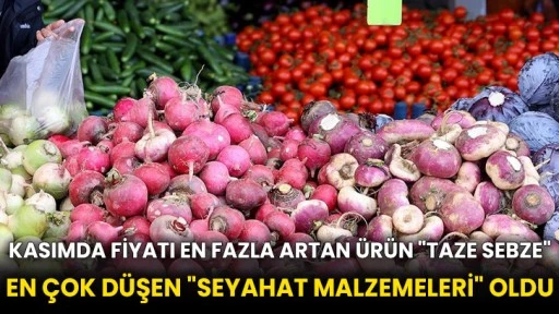 Kasımda fiyatı en fazla artan ürün &quot;taze sebze&quot; en çok düşen &quot;seyahat malzemeleri&quot; oldu