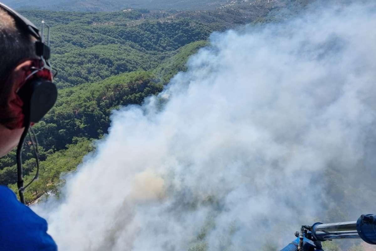 Kazdağları'nda orman yangını