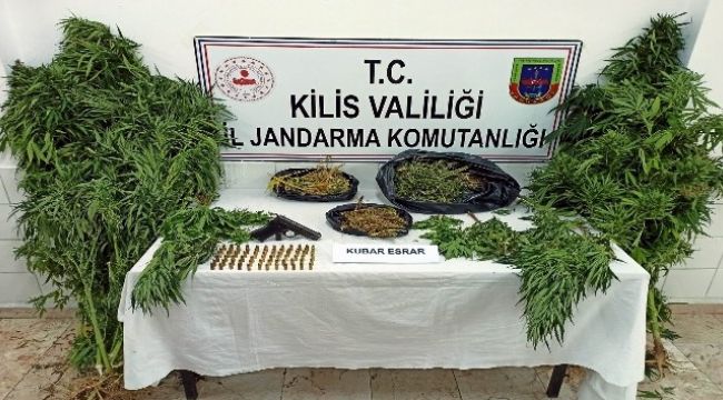 Kilis'te esrar operasyonu: 5 gözaltı