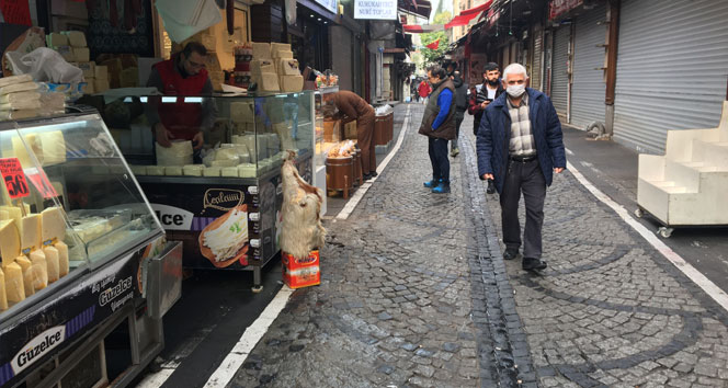 Kısıtlamanın bitmesiyle İstanbul hareketlendi