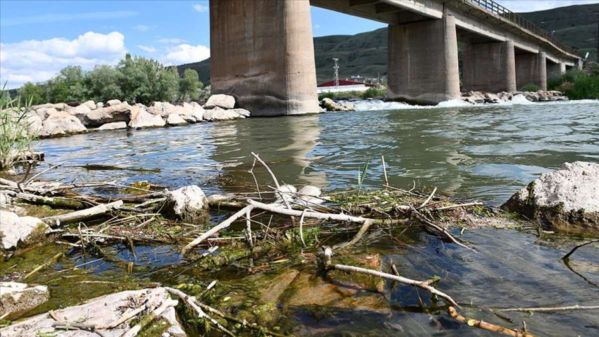 Kızılırmak'ta balık ölümleri görülmesi üzerine inceleme başlatıldı