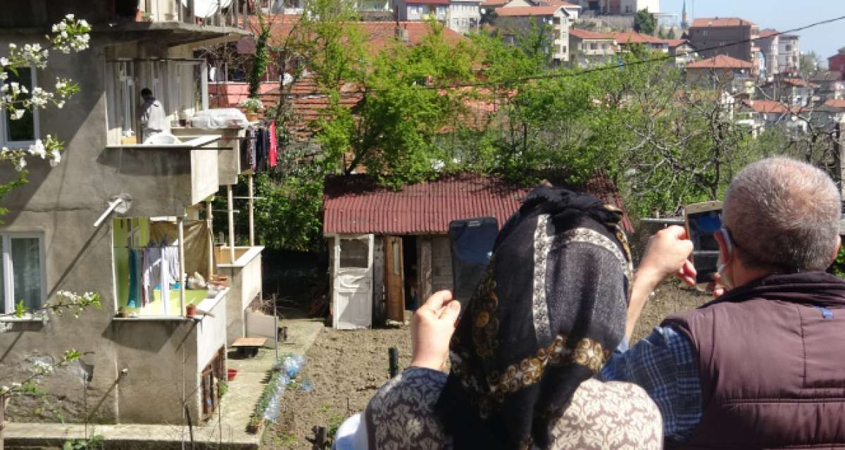 Korkunç manzarayı gören telefona sarıldı