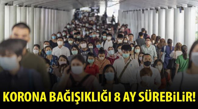 Korona bağışıklığı 8 ay sürebilir!