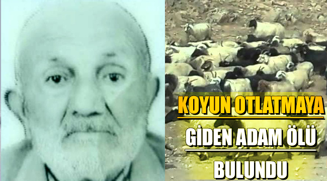  Koyun otlatmaya giden yaşlı adam ormanlık alanda ölü bulundu