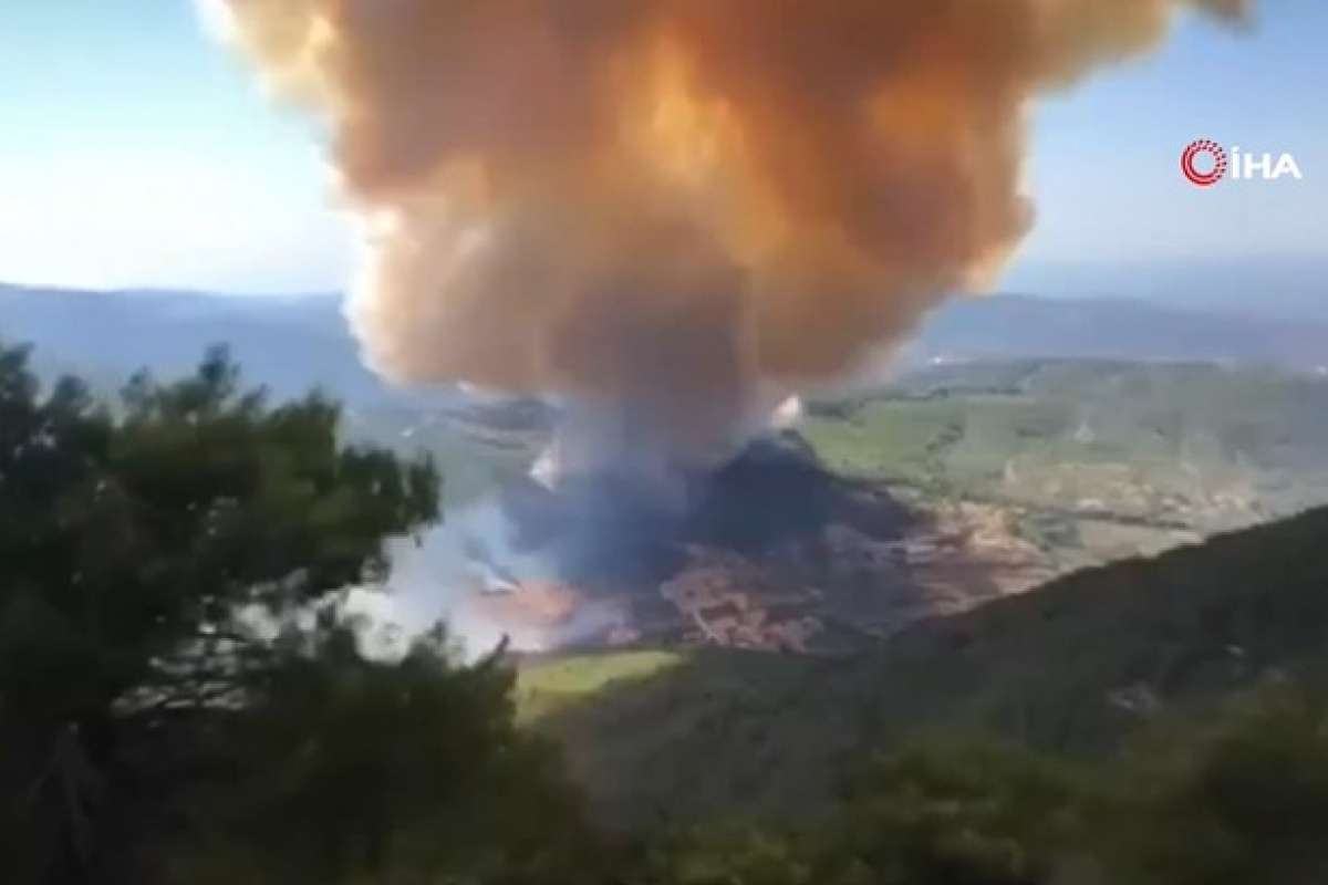 Lübnan'ın kuzeyindeki Akkar bölgesinde orman yangını