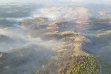 Manisa'daki orman yangınıyla ilgili 2 kişi tutuklandı