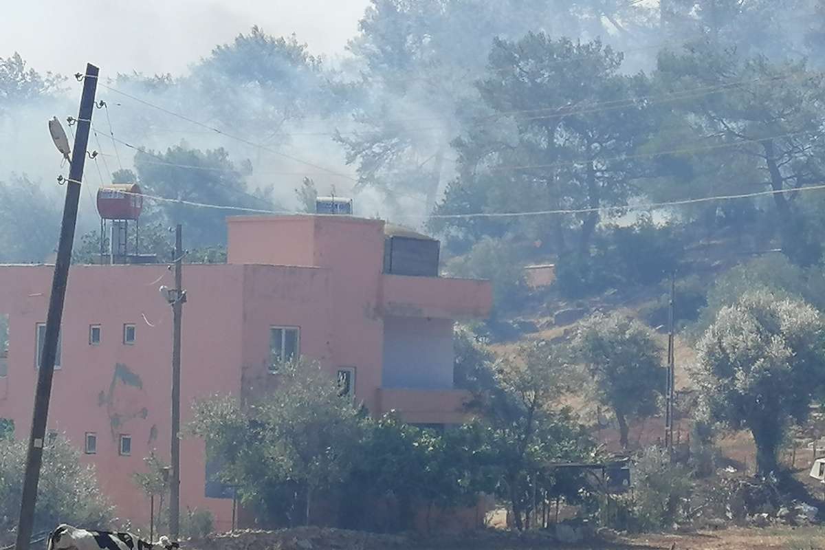 Mersin'deki orman yangını yerleşim yerlerini tehdit etmeye başladı