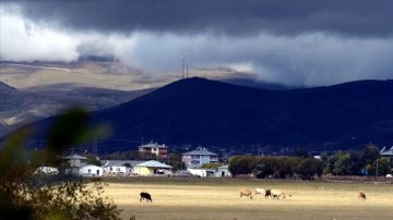 Meteorolojiden Doğu Anadolu Bölgesi için kuvvetli yağış uyarısı