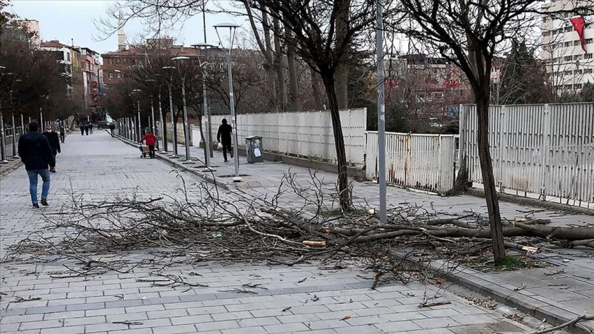 Meteoroloji'den Doğu Anadolu ve İç Anadolu için kuvvetli rüzgar ve fırtına uyarısı