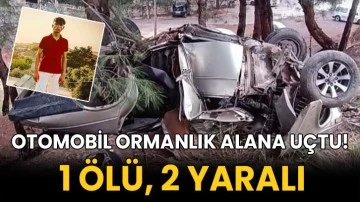 Otomobil ormanlık alana uçtu! 1 ölü, 2 yaralı