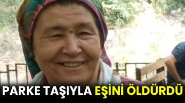 Parke taşıyla eşini öldürdü