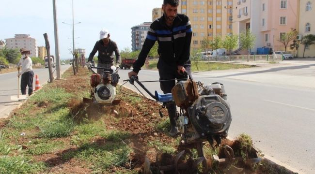 Parklarda hummalı çalışma 