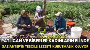 Patlıcan ve biberler kadınların elinde Gaziantep'in tescilli lezzeti 'kurutmalık' oluyor