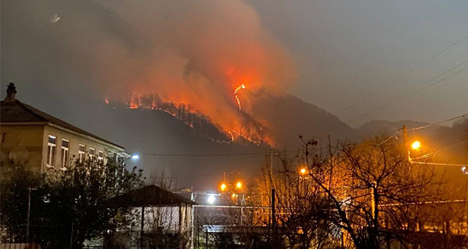 Rusya'da yeni yıl kutlamalarında atılan havai fişekler orman yangınına neden oldu