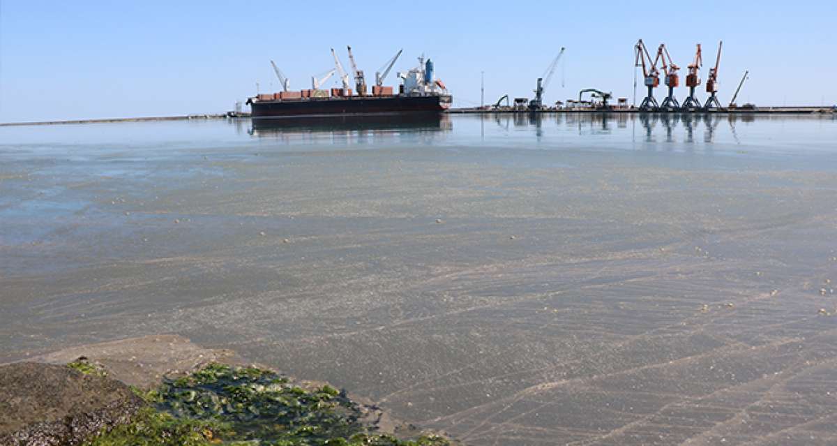 Samsun Limanı'ndaki kirlilik büyüyor