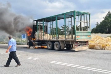 Seyir halindeki kamyon alev alev yandı