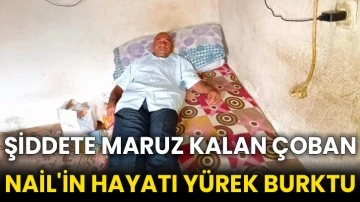 Şiddete maruz kalan çoban Nail'in hayatı yürek burktu