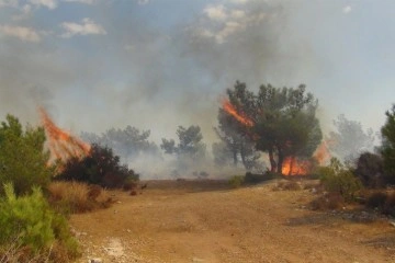 Silifke’de çalılık alanda çıkan yangın ormana sıçradı