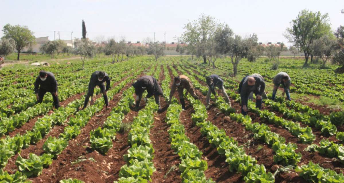 Sınır kentinde korona tedbirleri arttırılıyor