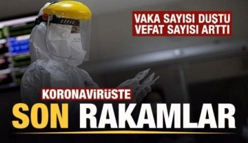 Son dakika: 28 Kasım koronavirüs tablosu açıklandı!