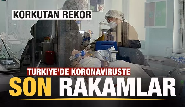 Son dakika haberi: 16 Aralık koronavirüs tablosu! Hasta, ölü sayısı ve son durum açıklandı