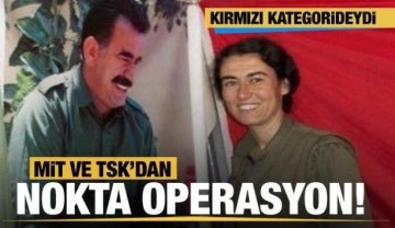 Son dakika: MİT ve TSK'dan nokta operasyon! Nazlı Taşpınar öldürüldü