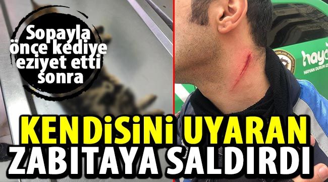 Sopayla önce kediye eziyet etti sonra kendisini uyaran zabıtaya saldırdı 