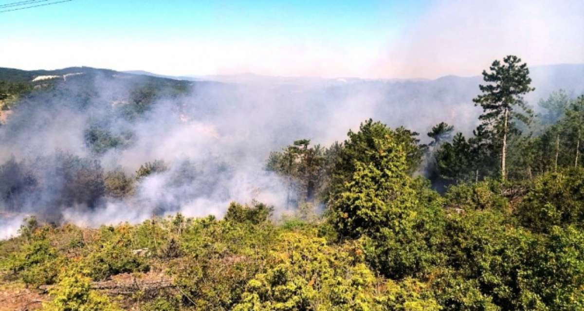 Tavşanlı'daki orman yangını kısa sürede söndürüldü