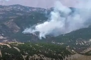 Tunceli Valiliği'nden orman yangını açıklaması