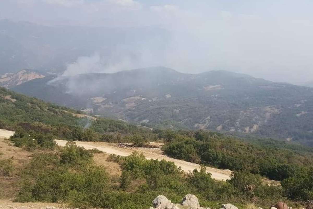 Tunceli'deki orman yangınında soğutma çalışmaları sürüyor