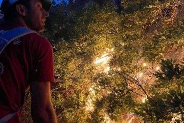 Tunceli’deki örtü yangını kontrol altına alındı