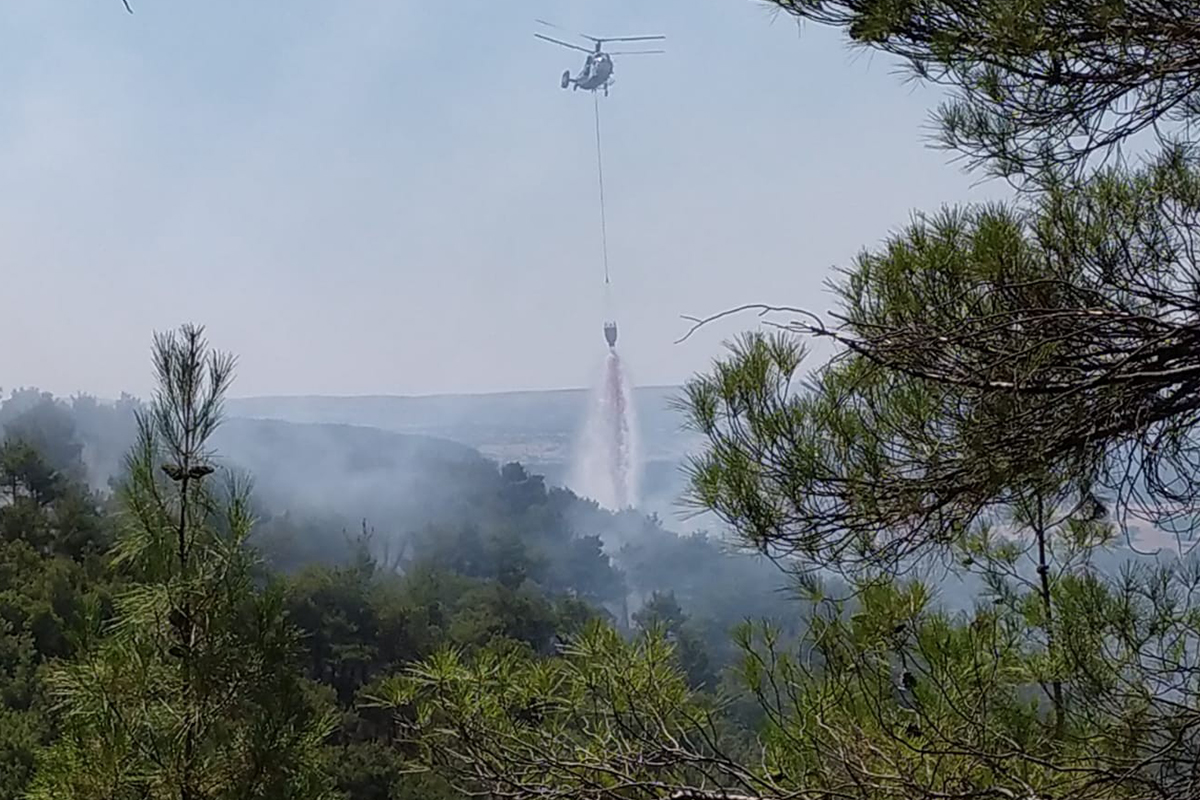 Uşak'ta ormanlık alanda yangın başladı