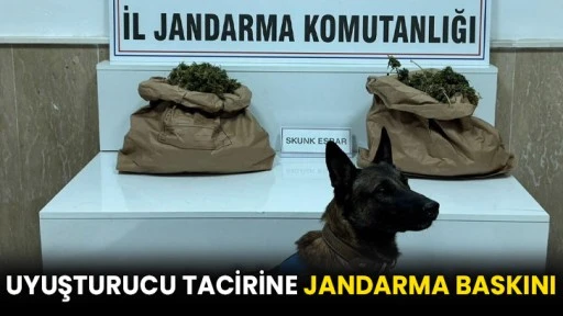 Uyuşturucu tacirine jandarma baskını