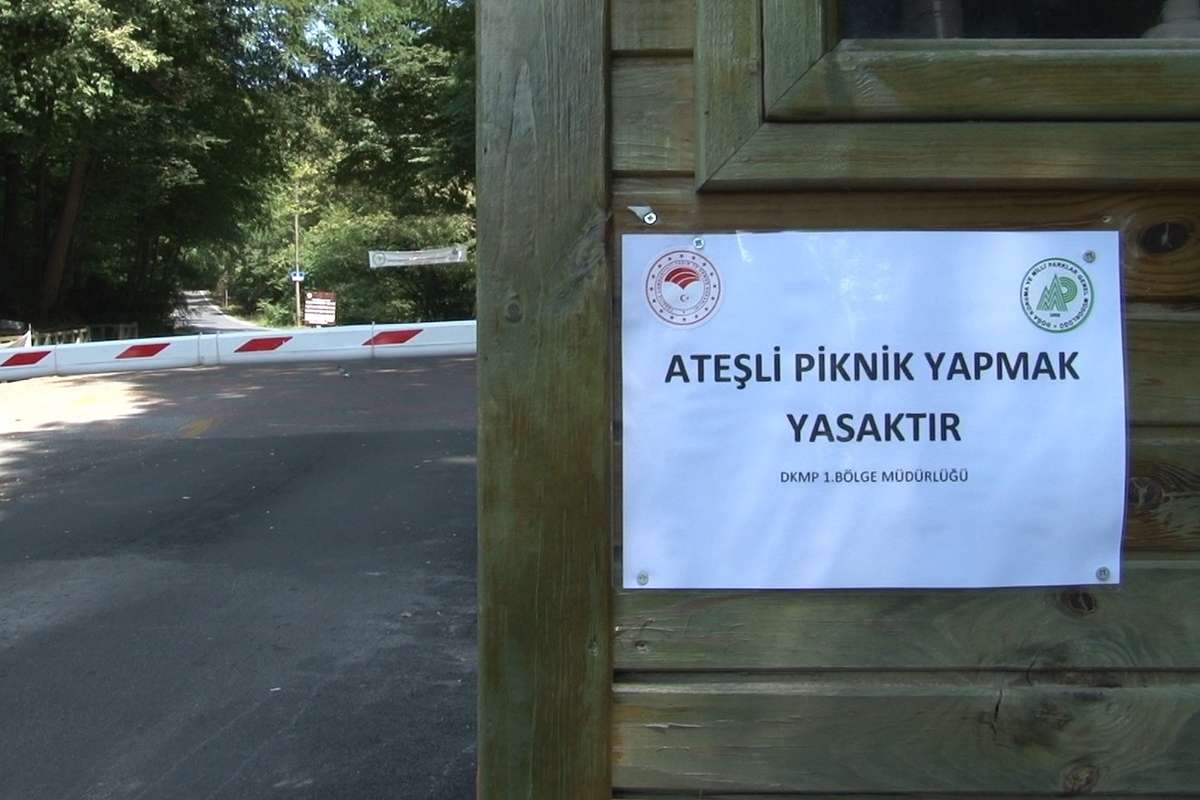 Yasaktan habersiz pikniğe gelenler ormana alınmadı