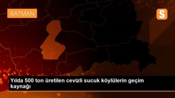 Yılda 500 ton üretilen cevizli sucuk köylülerin geçim kaynağı