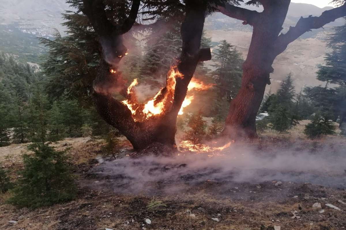 Yıldırım düştü yangın büyümeden söndürüldü