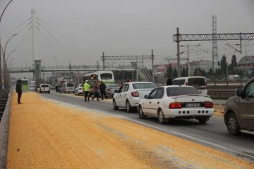 Yol mısır tarlasına döndü